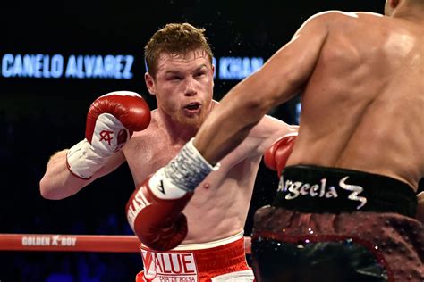 Canelo vs Golovkin talks have started, purse bid would come May 24 ...