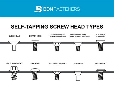 10 Screw Head Types: Different Self-Tapping Screw Head Types