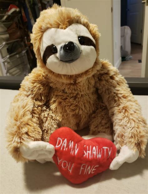 You Can Get A Plush Sloth Complete With A Valentine's Day Message We ...