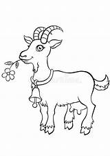 Goat Coloring Page sketch template