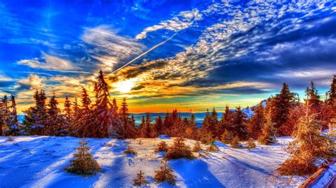 Sunny Winter Day Wallpaper