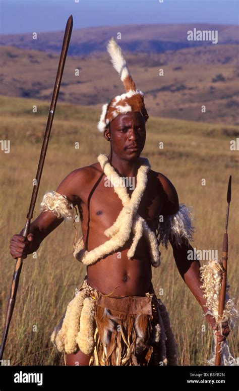 Zulu Warrior Google Search Zulu Warrior Warrior Zulu