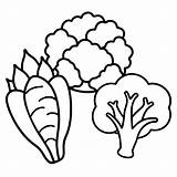 Carrots Cauliflower brussels sprouts Vegetables Outline coloring Book  sketch template