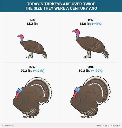 Best 30 Turkey Sizes for Thanksgiving - Most Popular Ideas of All Time