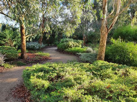 Peppermint Garden | Royal Botanic Gardens Victoria