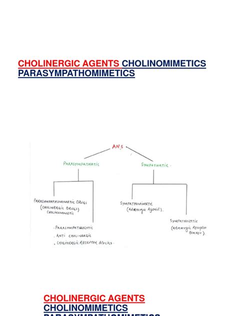 Parasympathomimetic Drugs | PDF | Acetylcholine | Medical Specialties