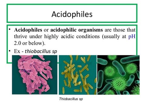 Microbes of extreme environment