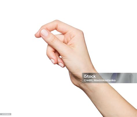 Womans Hand Holding Something Isolated On White Stock Photo - Download Image Now - iStock