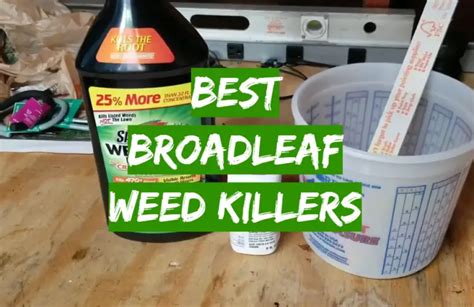 Top 5 Best Broadleaf Weed Killers [2020 Review] - Grass Killer