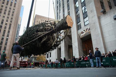 Christmas in Rockefeller Center: Rockefeller Center Christmas Tree ...