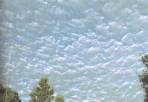 Altocumulus Clouds