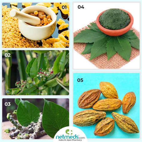 Ayurveda For Gout: Excellent Natural Remedies To Lower Uric Acid And Ease Joint Pain