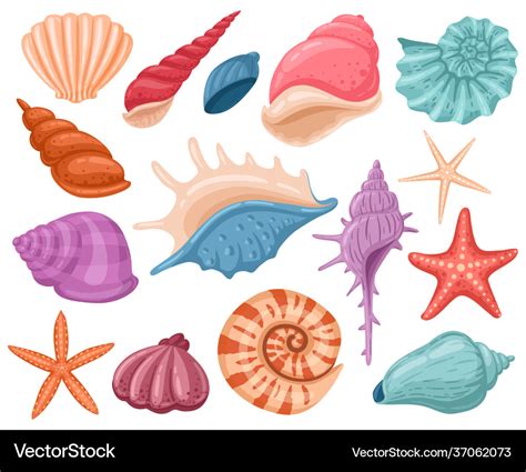 Cartoon seashells summer beach sea shells Vector Image