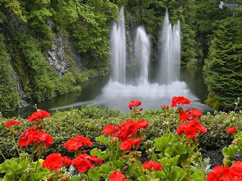 Beautiful Nature Images: Waterfall With Flowers | Beautiful Nature And ...