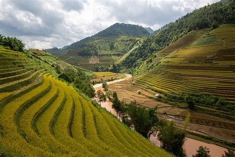 Rice Terraces Agriculture Vietnam - Free photo on Pixabay