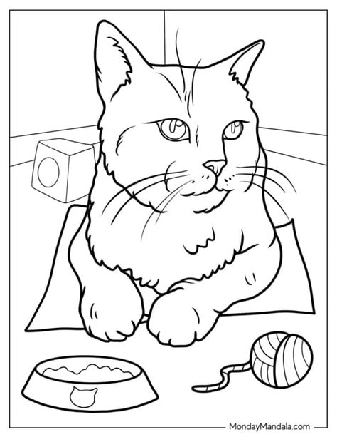 Realistic Cat Coloring Pages