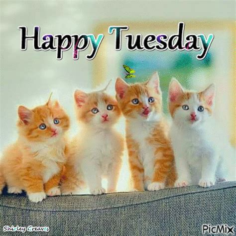 Happy Tuesday Gif Funny - michelleagner1