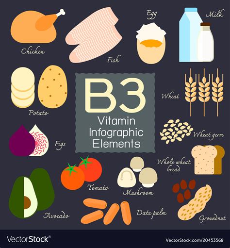 Vitamin B3 Meaning