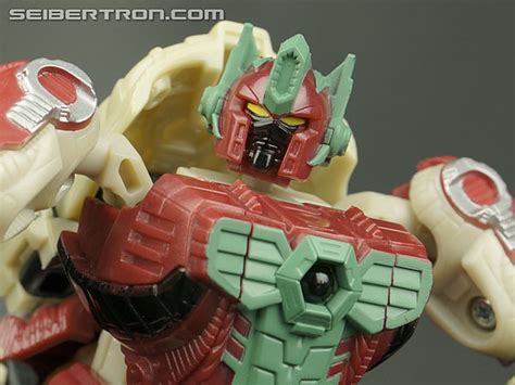 Transformers Convention & Club Exclusives Knight Apelinq Toy Gallery ...