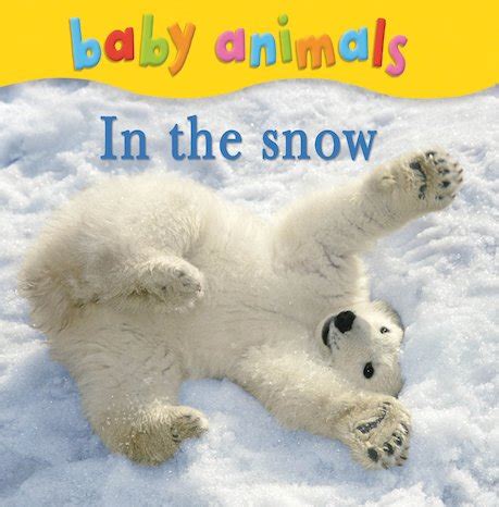 Baby Animals: In the Snow - Scholastic Shop