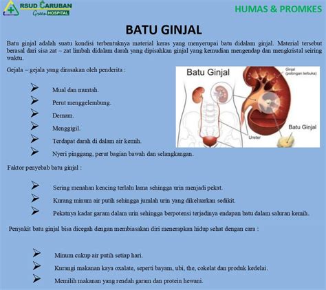 MENGENAL APA ITU PENYAKIT BATU GINJAL - RSUD Caruban