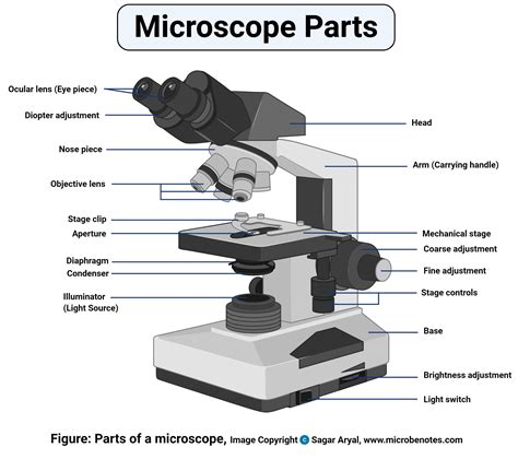 Condenser Microscope