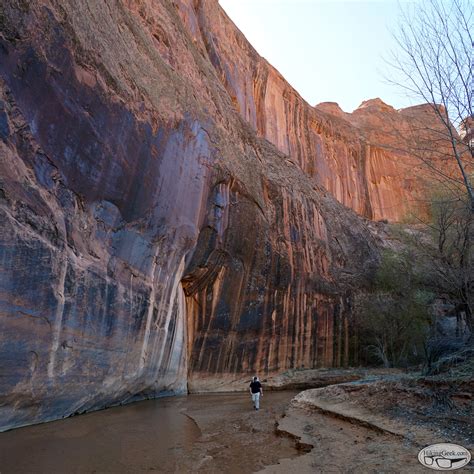 Coyote Gulch via Red Well Trailhead Day 1 , March 18 2016 - Hiking Photos, Trip Reports, Trail ...