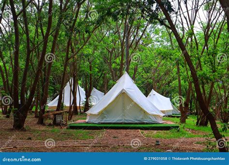 Camping Tents in the Forest Stock Photo - Image of forest, jungle: 279031058