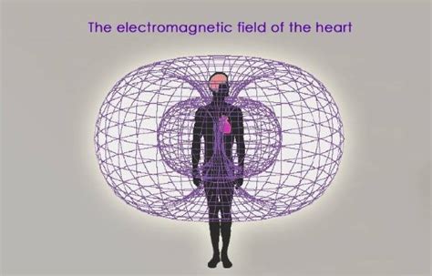 The Expanding Electromagnetic Field of the Heart - Stories from an ...