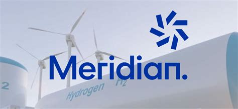 Meridian Energy - The power of Bad Jokes - SWOOP Analytics® | Digital ...