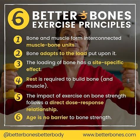 Better Bones Exercise Principles | Exercise, Bones and muscles, Weight ...