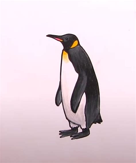 How To Draw a Penguin: 10 Easy Drawing Projects