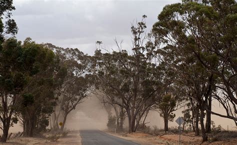 Podcast provides advice on avoiding wind erosion - AFDJ