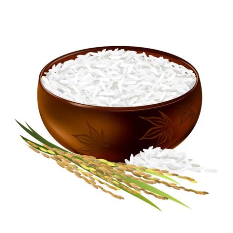 11,200+ Rice Plant Illustrations, Royalty-Free Vector Graphics & Clip ...