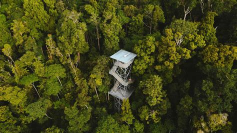 Mamu Tropical Skywalk - Concrete Playground