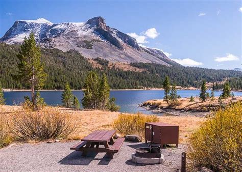 Best Camping Near Yosemite's Tioga Pass Entrance