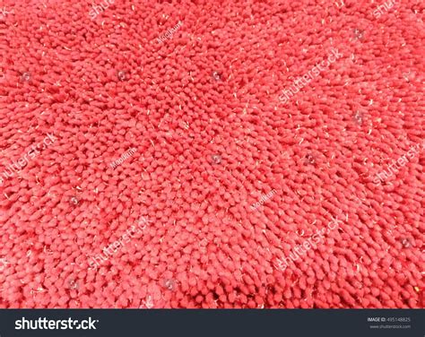 Closeup Red Carpet Texture Stock Photo 495148825 | Shutterstock