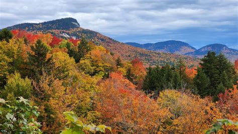 Fall Foliage Update for May 8th, 2023 - New England Fall Foliage