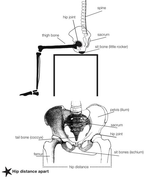 Correct and Incorrect Postures | rosalinds WordPress