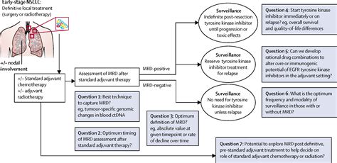 Lung cancer's real adjuvant EGFR targeted therapy questions - The ...