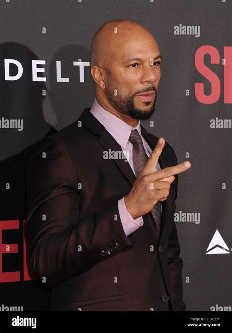 Common attending the premiere of 'Selma' in New York City Stock Photo - Alamy