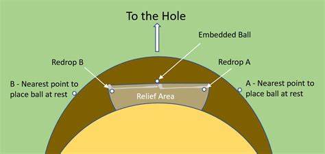 Ball Embedded in the Face of a Bunker – Golf Rules Guru