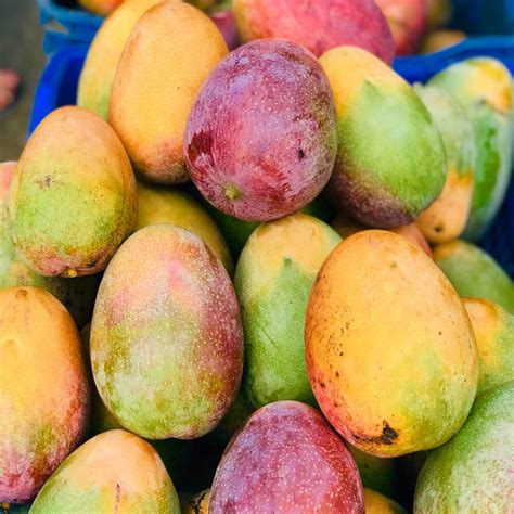 The best and most sweet mangoes are the Bani! - Tiplr