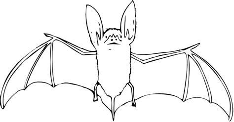 Bat Outline Clip Art at Clker.com - vector clip art online, royalty free & public domain