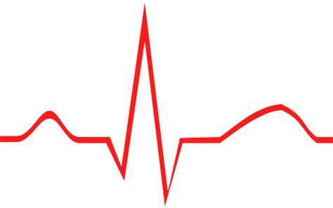 EKG Logo - LogoDix