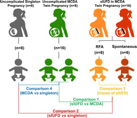 Frontiers | The Metabolic Signatures of Surviving Cotwins in Cases of Single Intrauterine Fetal ...