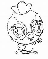 Zoobles Coloring Pages23  Coloringkidsorg sketch template