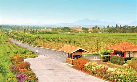 Top 5 Vineyards Across India | MakeMyTrip Blog