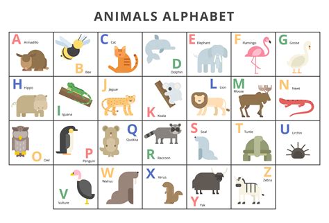 Wild animals alphabet set 1218536 Vector Art at Vecteezy