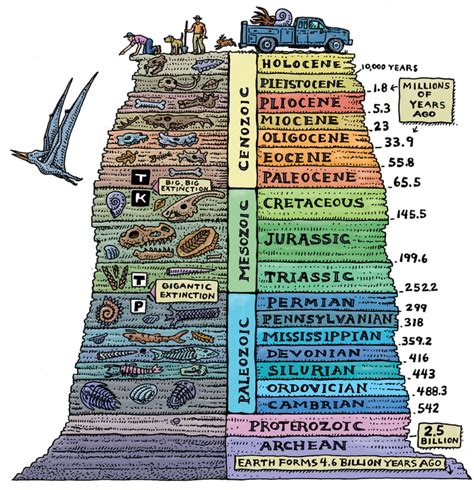 Great Timeline (few great extinctions missing, but the graphic is cool anyway) - 9GAG